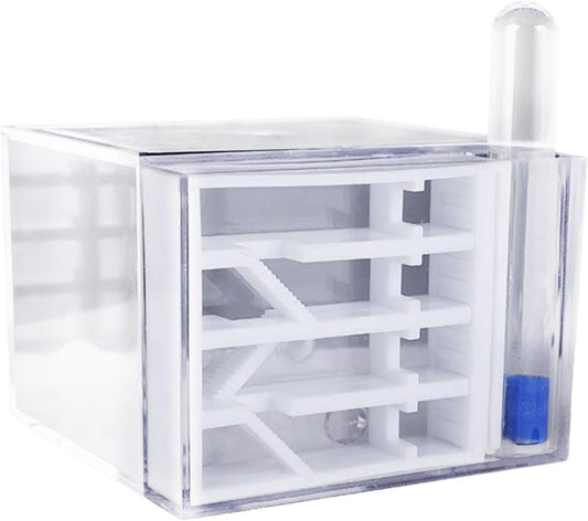 ANT Farm Study DIY Supplies ANT Habitat for Decor Children's Day Birthday