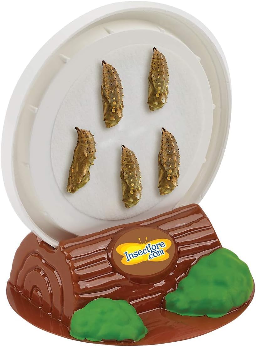 Insect Lore Butterfly Garden Kit with Live Caterpillars – Grow 10 Painted Lady Butterflies - STEM Learning Activity, Habitat with Journal, Stickers, Seeds & Figurines - As Seen on TV