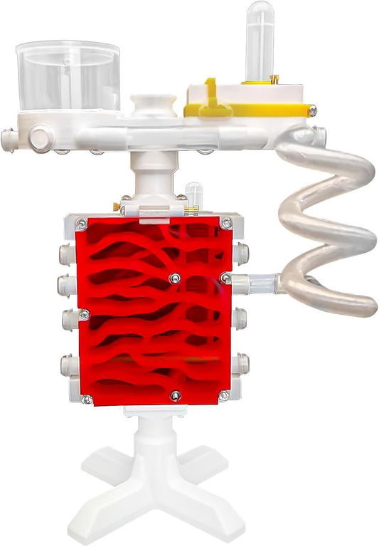 Ant Farm Castle 3D Printed Ant Farms Habitat Ant Colony for Kids, Adults, Student Acrylic Terrarium Nest with Connecting Tubes for Ant Behavior Study and Educational & Learning Science Viewing Kit