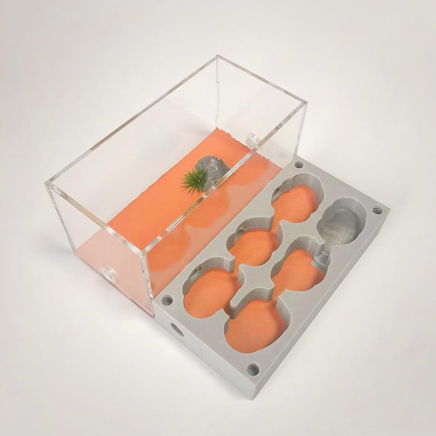 Gypsum Ant Farm New Queen's Nest Acrylic Transparent Ant Observation Behavior Research Live Ants and Queen's Education Ant Nest Suitable for Children and Enthusiasts Gift Giving