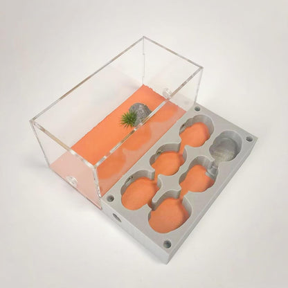 Gypsum Ant Farm New Queen's Nest Acrylic Transparent Ant Observation Behavior Research Live Ants and Queen's Education Ant Nest Suitable for Children and Enthusiasts Gift Giving