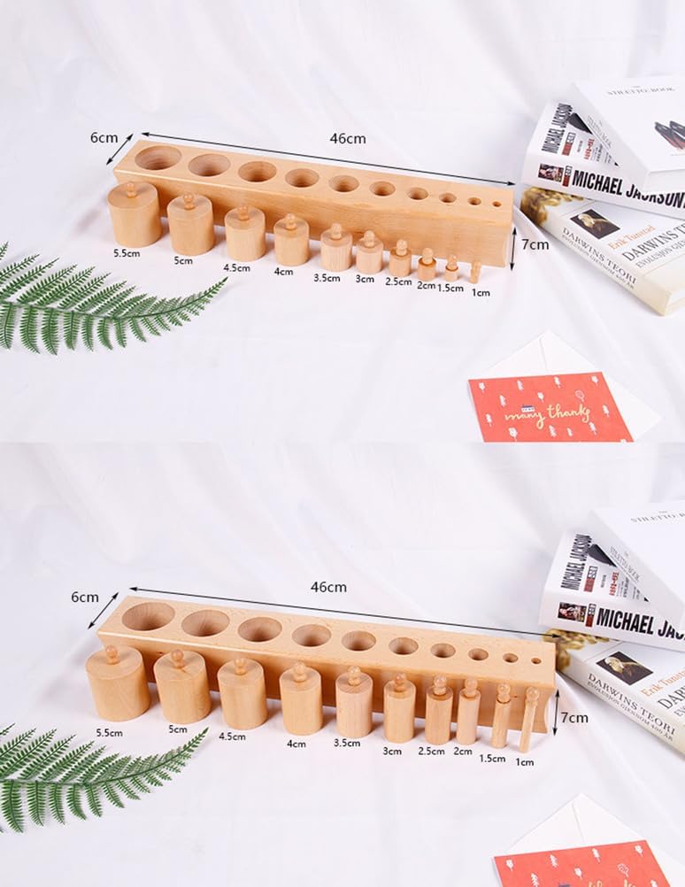 Montessori Large Socket Cylinders, Wooden Sensory Toy for Toddlers, Educational Gift
