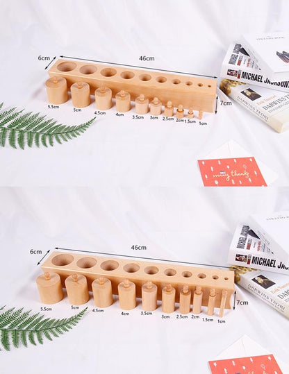 Montessori Large Socket Cylinders, Wooden Sensory Toy for Toddlers, Educational Gift