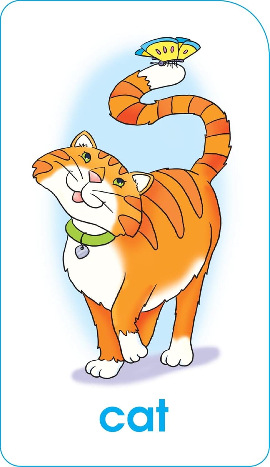 School Zone Word Families Flash Cards: 56 Cards, Preschool, Kindergarten, Beginning and Ending Sounds, Rhymes, Spelling, Early Reading, Ages 4+