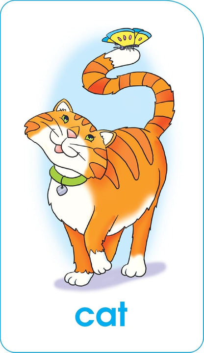 School Zone Word Families Flash Cards: 56 Cards, Preschool, Kindergarten, Beginning and Ending Sounds, Rhymes, Spelling, Early Reading, Ages 4+