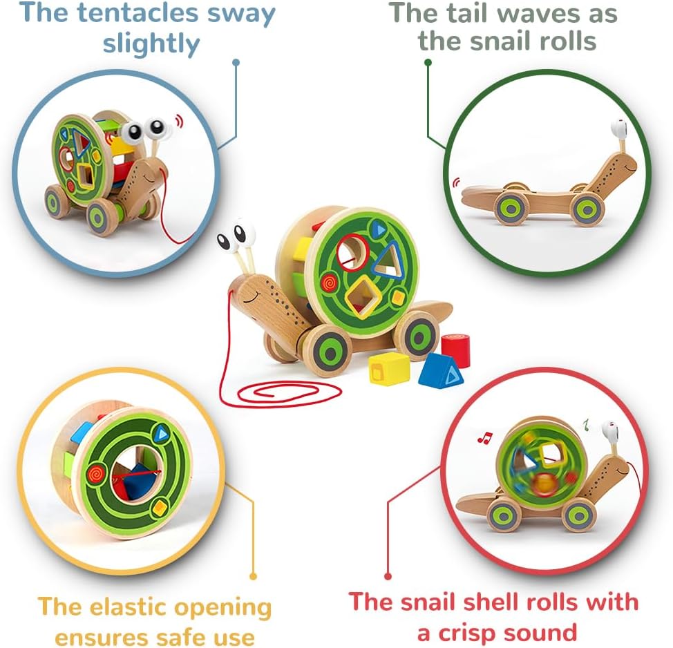 Hape Walk-A-Long Snail Pull Toy |Award Winning Toddler Wooden Push and Pull Toy with Removable Color