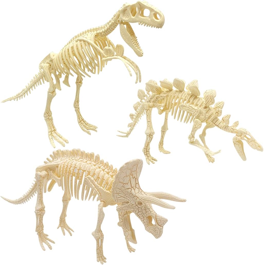 YODAR 3 Pcs Dinosaur Fossil Skeleton DIY Toys 8.7 Inch Educational Puzzles Model Set for Kids Over 8 Years Old