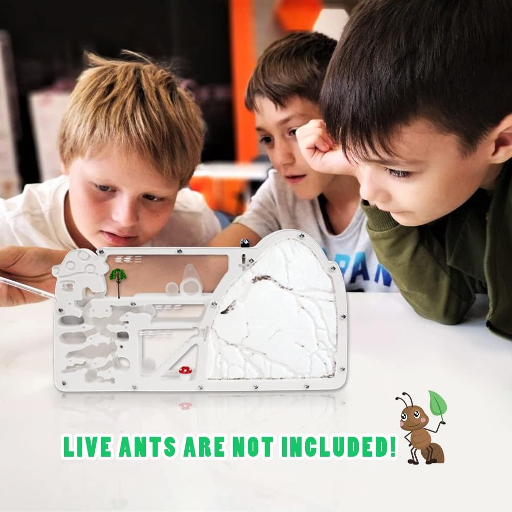 Ant Castle Farm - Live Ant Colony Observation Kit & Science Learning Habitat for Kids