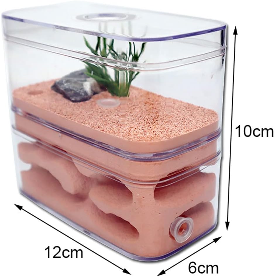 YKLL Ant Farm Highly Moisturizing Ant Nest Ant Farm Plaster Insect Box Pet Anthill Castle Natural Ecological Workshop Ant House 12 * 6 * 10cm Unique Gifts