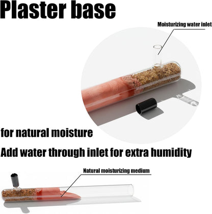 Ant Farm Kit Formicarium & Science Habitat – 3D Printed Nest Natural Sand & Dual Moisturizing System – Educational Observation for Beginners & Adults (Concept Labyrinth)