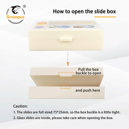 30 Prepared Microscope Slides with Specimens for Kids Students - Plants, for Biological Science Lab, Children's Science Education, Homeschooling Use