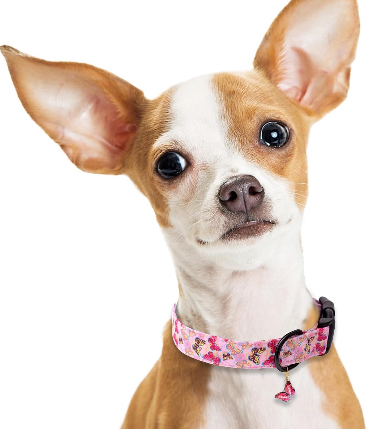 Faygarsle Dog Collar for Small Medium Large Dogs Colorful Puppy Collars for Female Dogs Toy Building Blocks Patterned Pet Collars for Summer Spring Wedding Puppy Girl Dog Collar M