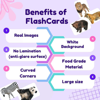 Hungry Brain Number Flash Cards for Kids Ages 36 Years Months to | Learn Numbers, Counting & Early Math Skills | Preschool Educational Toy for Toddlers | Montessori Learning | Set of 24 Cards