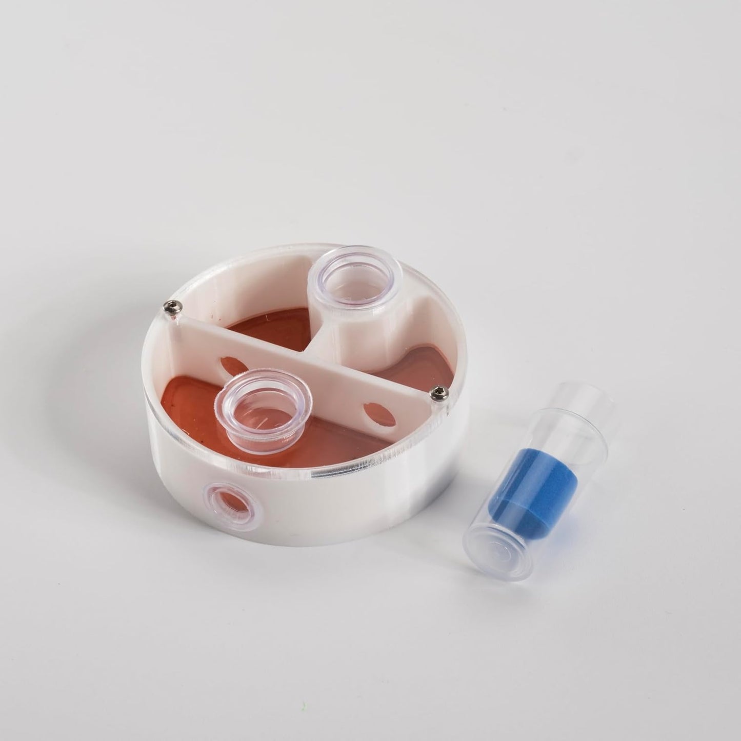 Mini Round Ant Farm Nest, White Plastic Educational Colony Kit with Water Feeder, Multiple Chambers for Observation, 2.4x2.4x0.8 Inches, Ages 3+