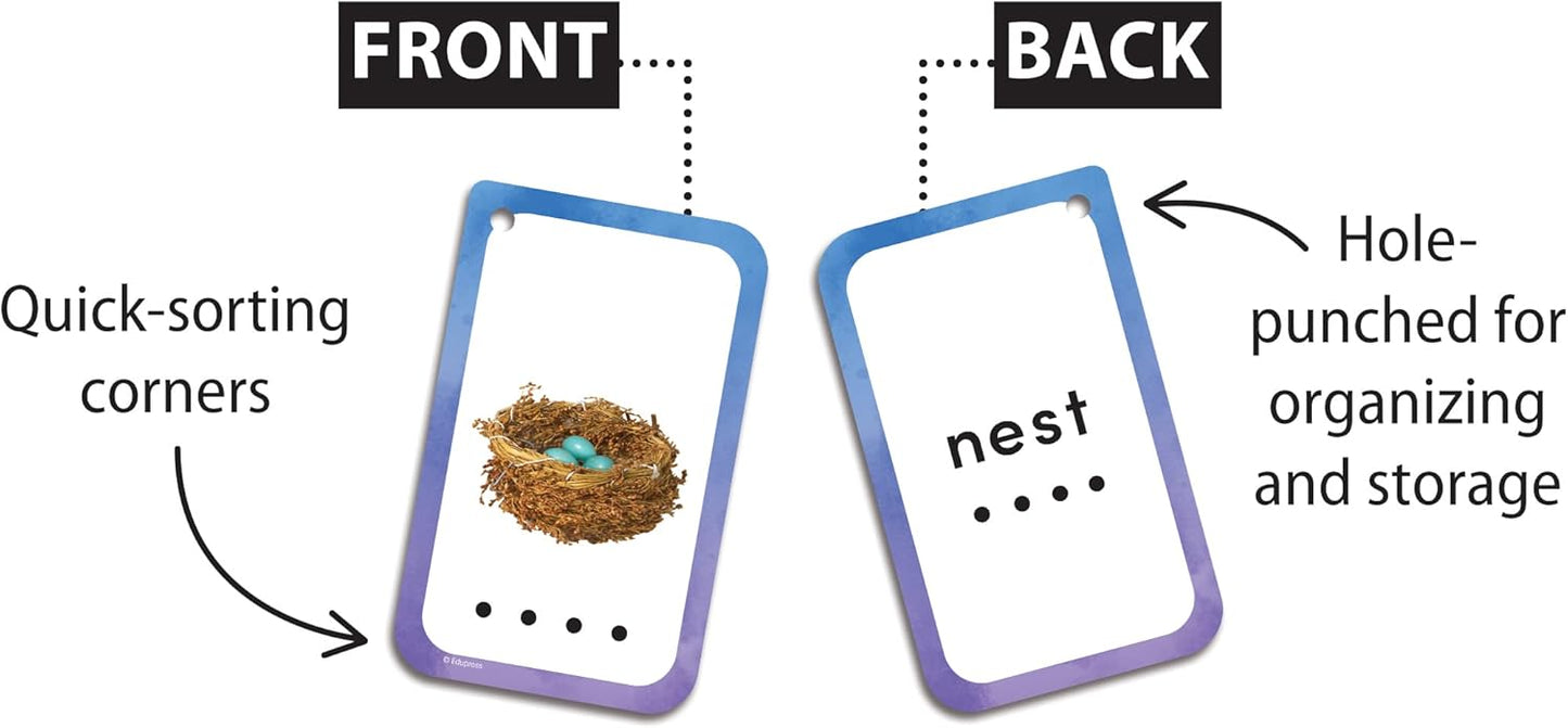 Decoding Words Flash Cards (EP62078)