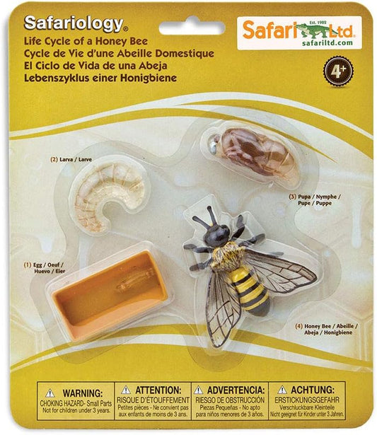 Safari Ltd. Life Cycle of an Ant Set - Detailed Educational Toy Figurines - Realistic Ant Development Stages Collection for Boys, Girls & Kids Age 4+