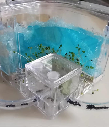 Ant Habitat Ant Farm Ant Castle Ant Castle Ant Studio Habitat Ant Farm Education and Learning Science Kit Ant Nest Farm for Learning Kit Ant Nest Ant House Ant Nest Farm(Pink), 22cm