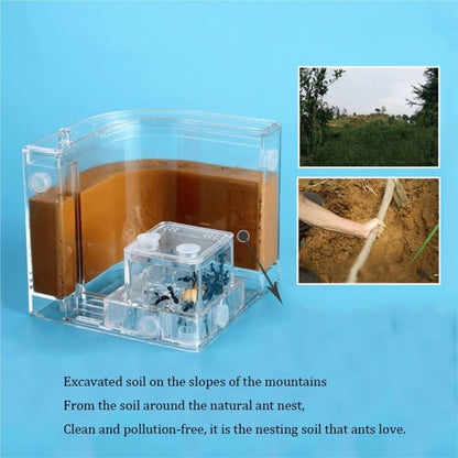 Ant Habitat Ant Farm Ant Castle Ant Castle Filled Clay Sand Ant Farm Ant Nest　Habitat Professional Ant Nest Farm Ant Nest Ant House Ant Nest Farm(1pcs), Clear