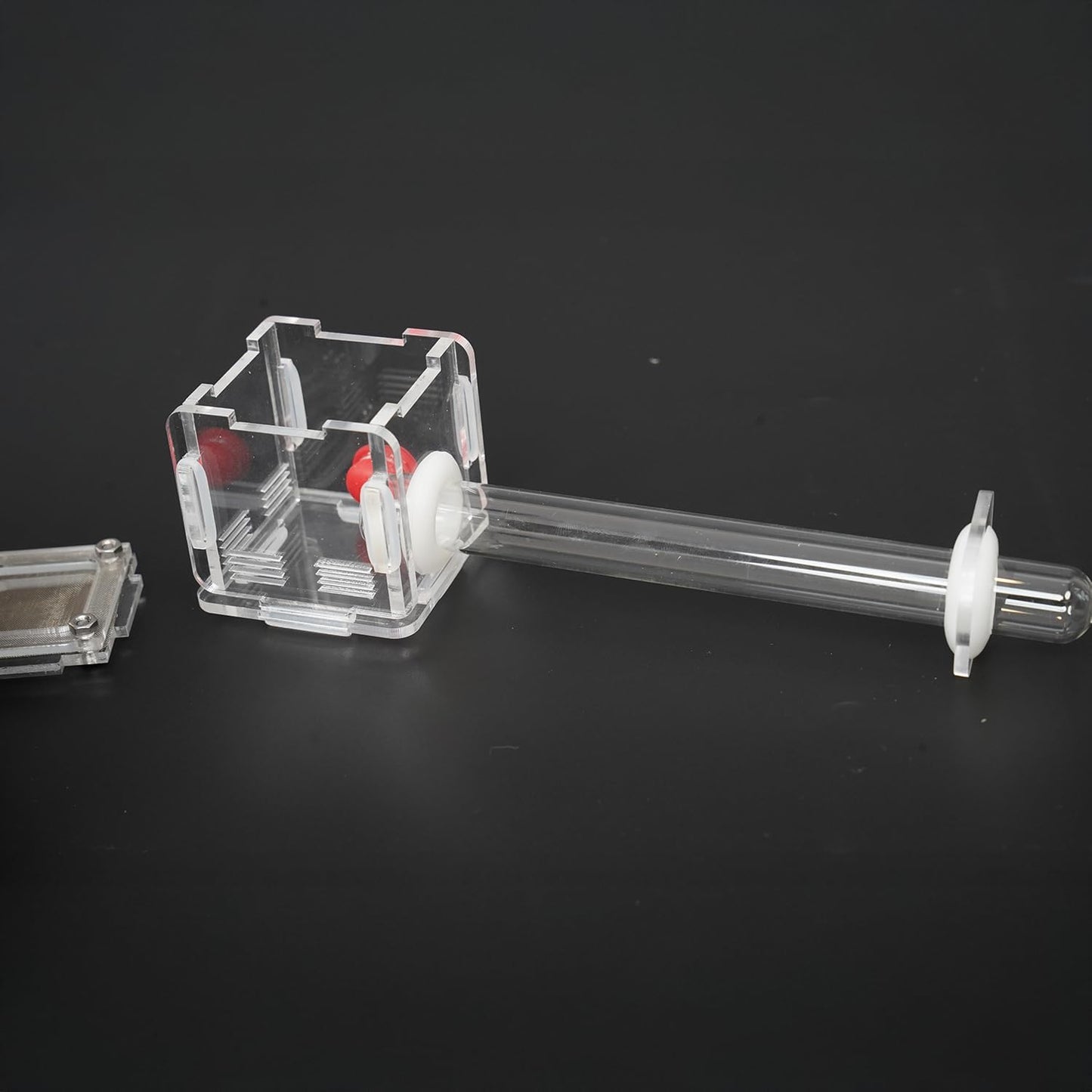 2x2x2 Inch 15mm Acrylic Transparent Ant Nest - Mini Ant Farm, Small Colony Observation