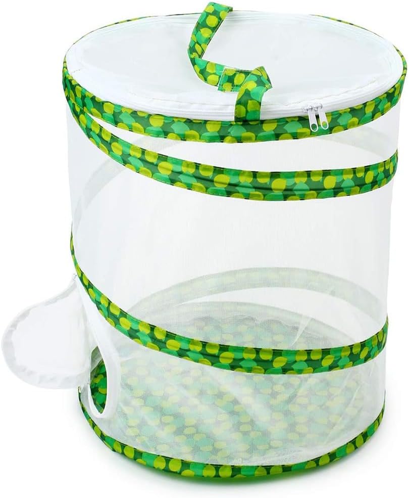 Butterfly and Insect Habitat Cage Terrarium 12" x 14"