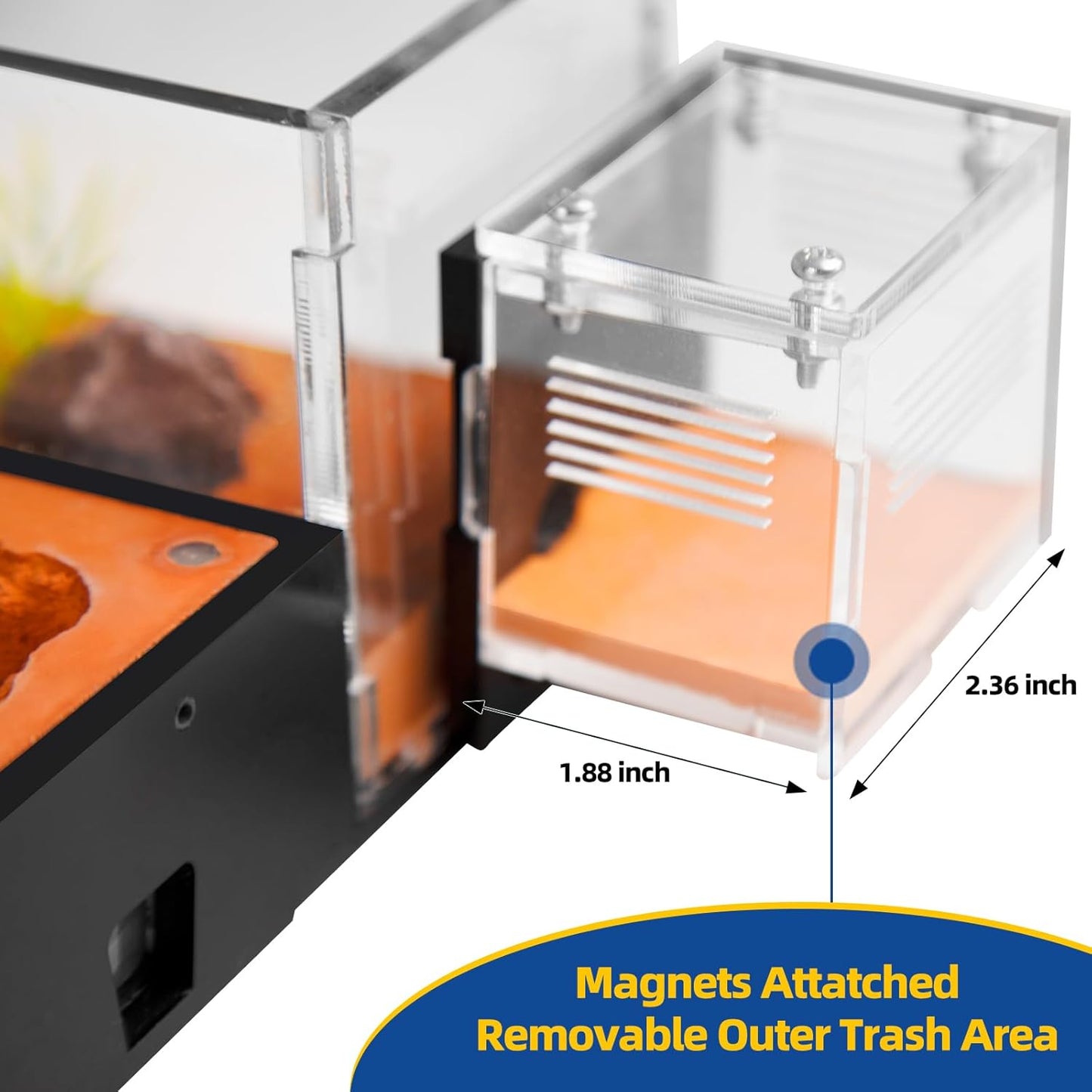 Ant Nest Formicarium for Live Ants and Queen – Extra-Large Clear Habitat for Adults