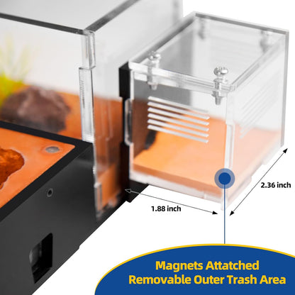 Ant Nest Formicarium for Live Ants and Queen – Extra-Large Clear Habitat for Adults