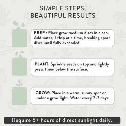 Modern Sprout Complimentary Color Grow Kits (Pack of 4) - Gift for Plant Lovers - Seed Starter Kit - Includes Organic Strawberry Tomato Sunflower & Cactus Seeds - Gardening Gifts that Grows with Love