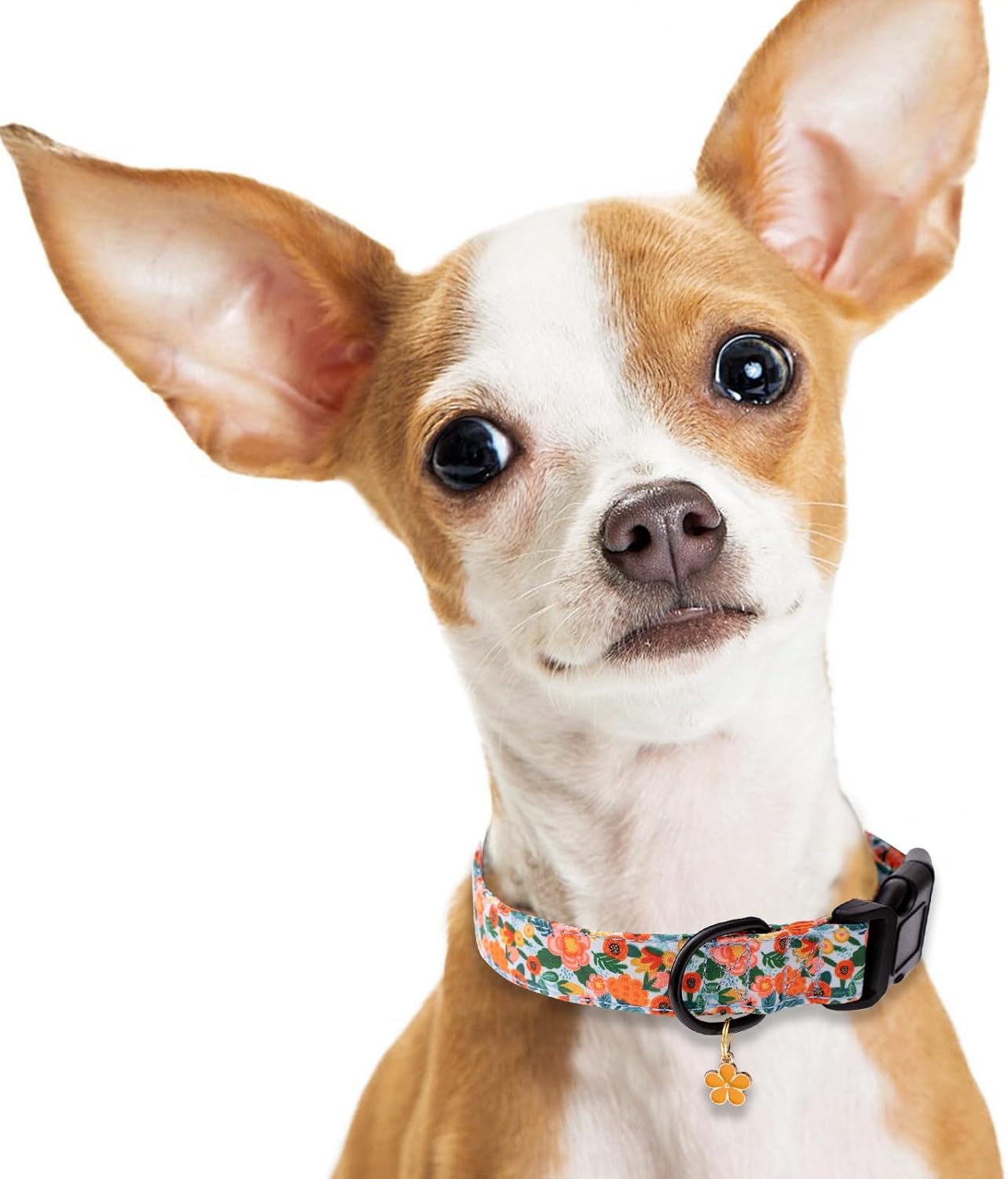 Faygarsle Dog Collar for Small Medium Large Dogs Colorful Puppy Collars for Female Dogs Toy Building Blocks Patterned Pet Collars for Summer Spring Wedding Puppy Girl Dog Collar M