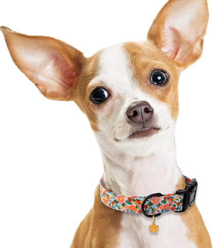 Faygarsle Dog Collar for Small Medium Large Dogs Colorful Puppy Collars for Female Dogs Toy Building Blocks Patterned Pet Collars for Summer Spring Wedding Puppy Girl Dog Collar M