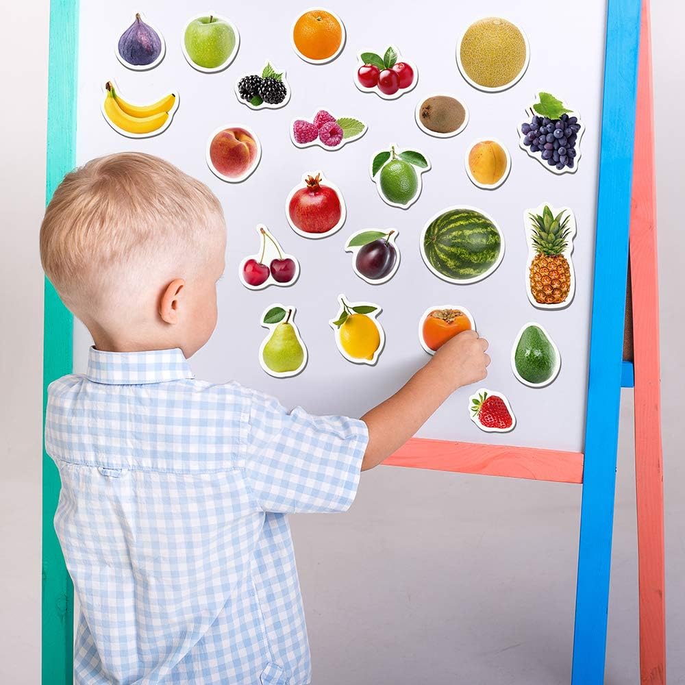 25 Fridge Magnets for Toddlers - Birds Photo Kids Magnets for Refrigerator – Real Magnetic Animals for Children – Big Realistic Magnet for Kids - Learning Toy Set - Baby Educational Gift