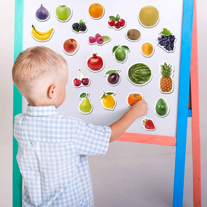 25 Fridge Magnets for Toddlers - Birds Photo Kids Magnets for Refrigerator – Real Magnetic Animals for Children – Big Realistic Magnet for Kids - Learning Toy Set - Baby Educational Gift