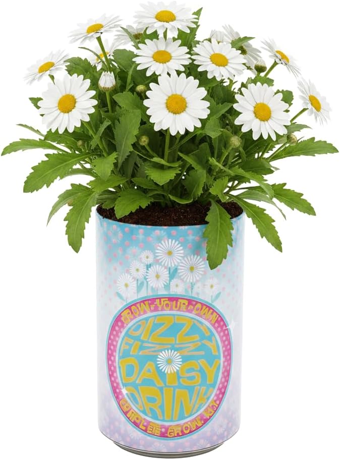 BUZZY Seeds Flower Grow Kit 6-Pack – Pansy, Lavender & Daisy Soda Cans with Seeds, Growing Medium & Liners – Fun DIY Indoor Gardening Party Favors & Gift Set