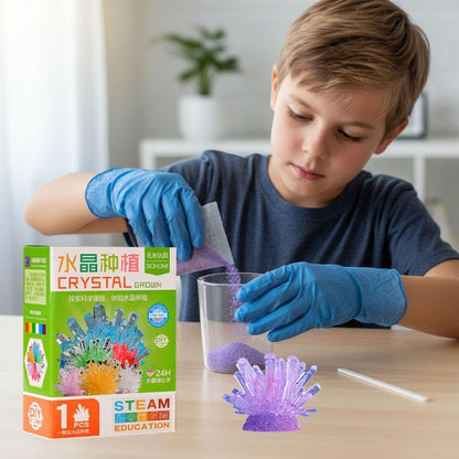 Crystal Growing Science Kit, Crystal Crafting Kit, Personalized Display (Green)