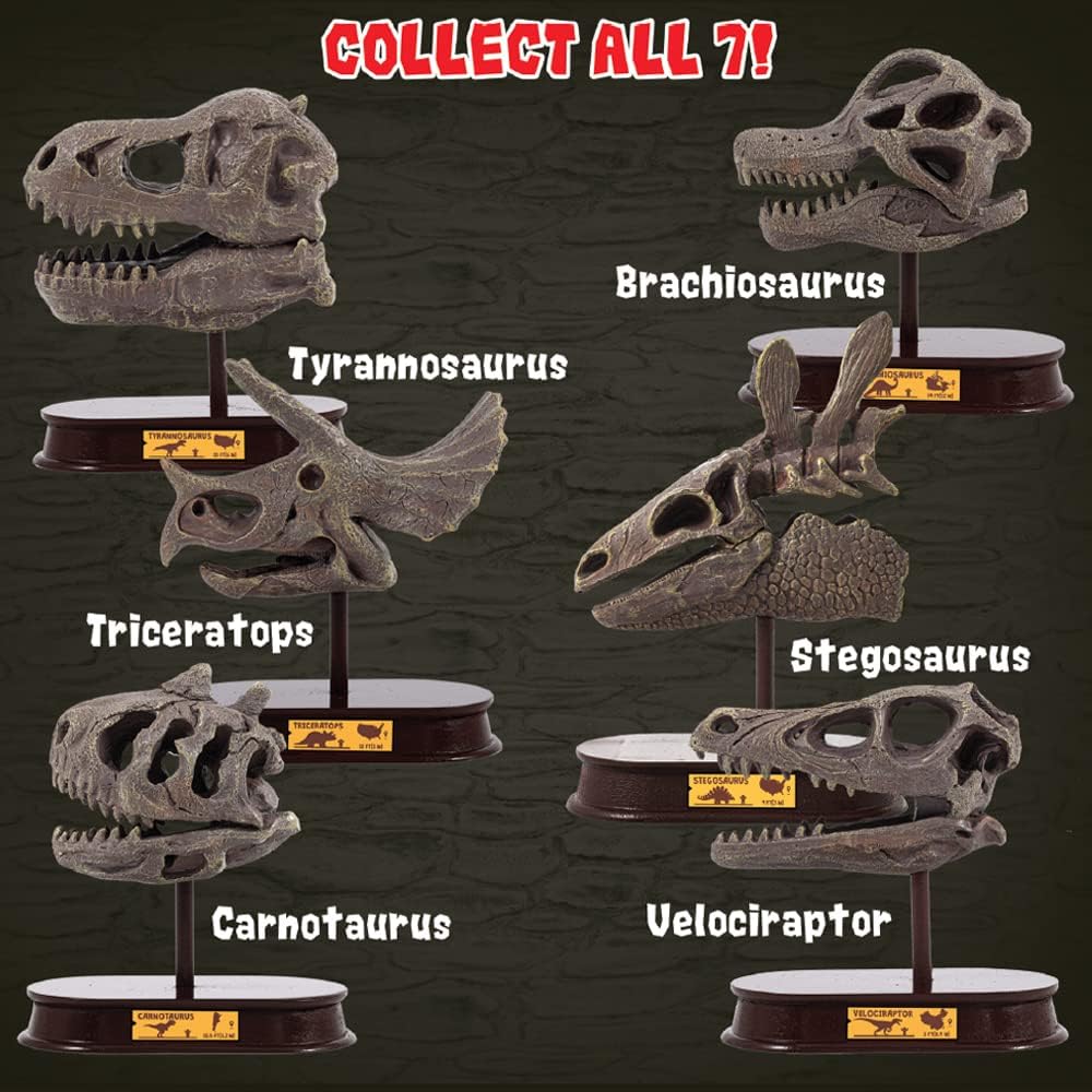 ArtCreativity Dinosaur Excavation Kit for Kids, Brachiosaurus Skull Excavating Set with Fossil Digging Tools and Stand, Fun Science Activity Toy, Educational Dinosaur Gift for Boys and Girls