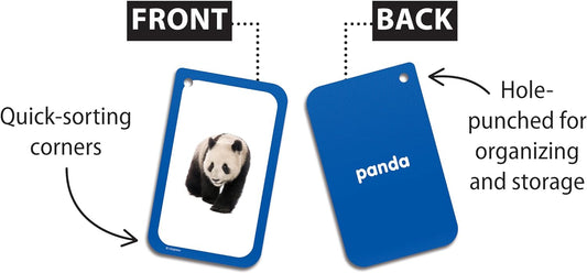Categories Flash Cards (EP62079)