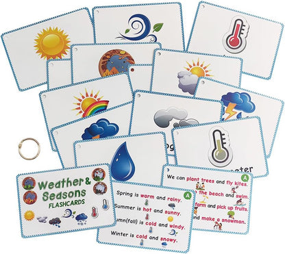 Lilias Irregular Past Tense Verbs English Grammar Double-Side Learning Flash Cards - 24 Card Set for Homeschool, Preschool, Primary School, ESL, Autism, Vocabulary Building