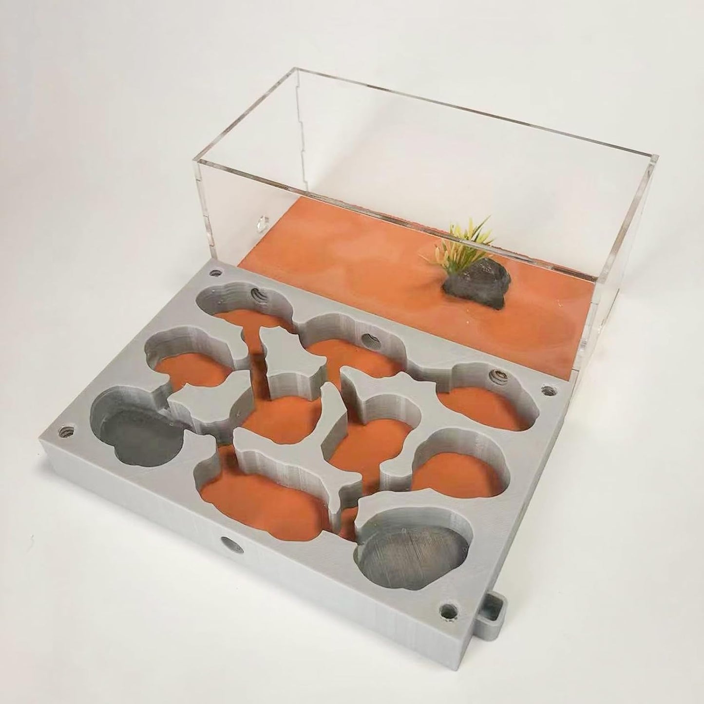 Gypsum Ant Farm New Queen's Nest Acrylic Transparent Ant Observation Behavior Research Live Ants and Queen's Education Ant Nest Suitable for Children and Enthusiasts Gift Giving
