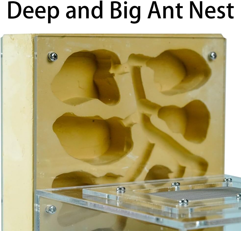 Ant Farm for Live Ants - Large Viewing Area - Natural Learning