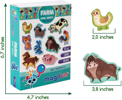 25 Fridge Magnets for Toddlers - Birds Photo Kids Magnets for Refrigerator – Real Magnetic Animals for Children – Big Realistic Magnet for Kids - Learning Toy Set - Baby Educational Gift