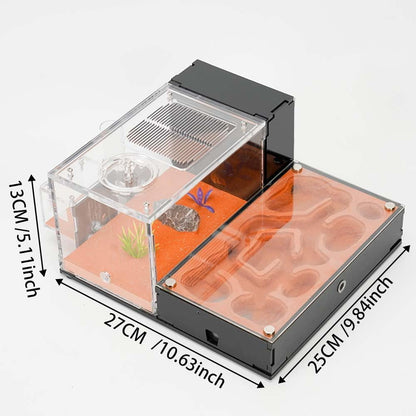 Ant Farm for Live Ants - for Small Ant Clony - Natural Learning Toy - Great Gift