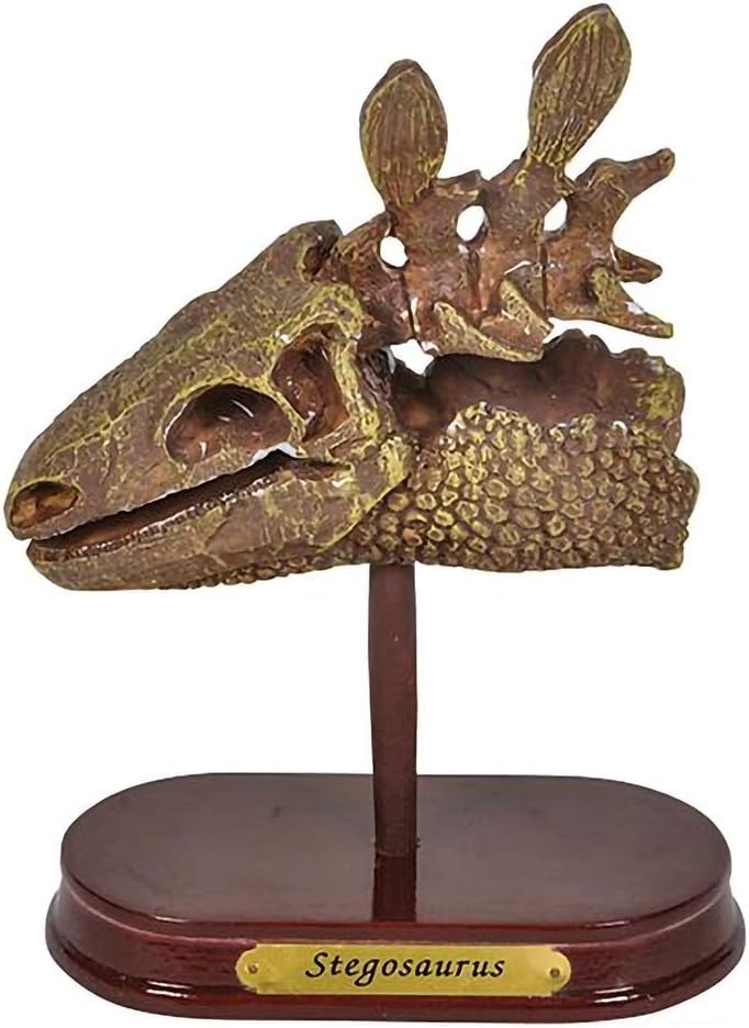 ArtCreativity Dinosaur Excavation Kit for Kids, Brachiosaurus Skull Excavating Set with Fossil Digging Tools and Stand, Fun Science Activity Toy, Educational Dinosaur Gift for Boys and Girls