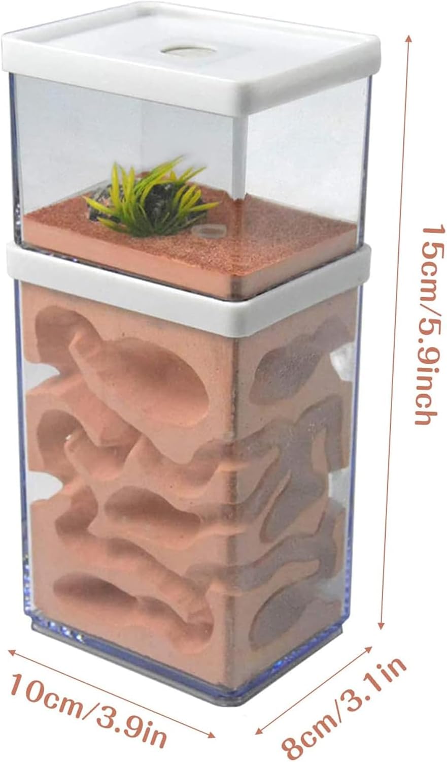 Ecological Ant Nest Farm, Ant Castle Ant Formicarium, Transparent Ant House Plaster Ant Nest, Ant Workshop Insect Villa Ant Feeding Box for Ants Study Science Experiment Gift