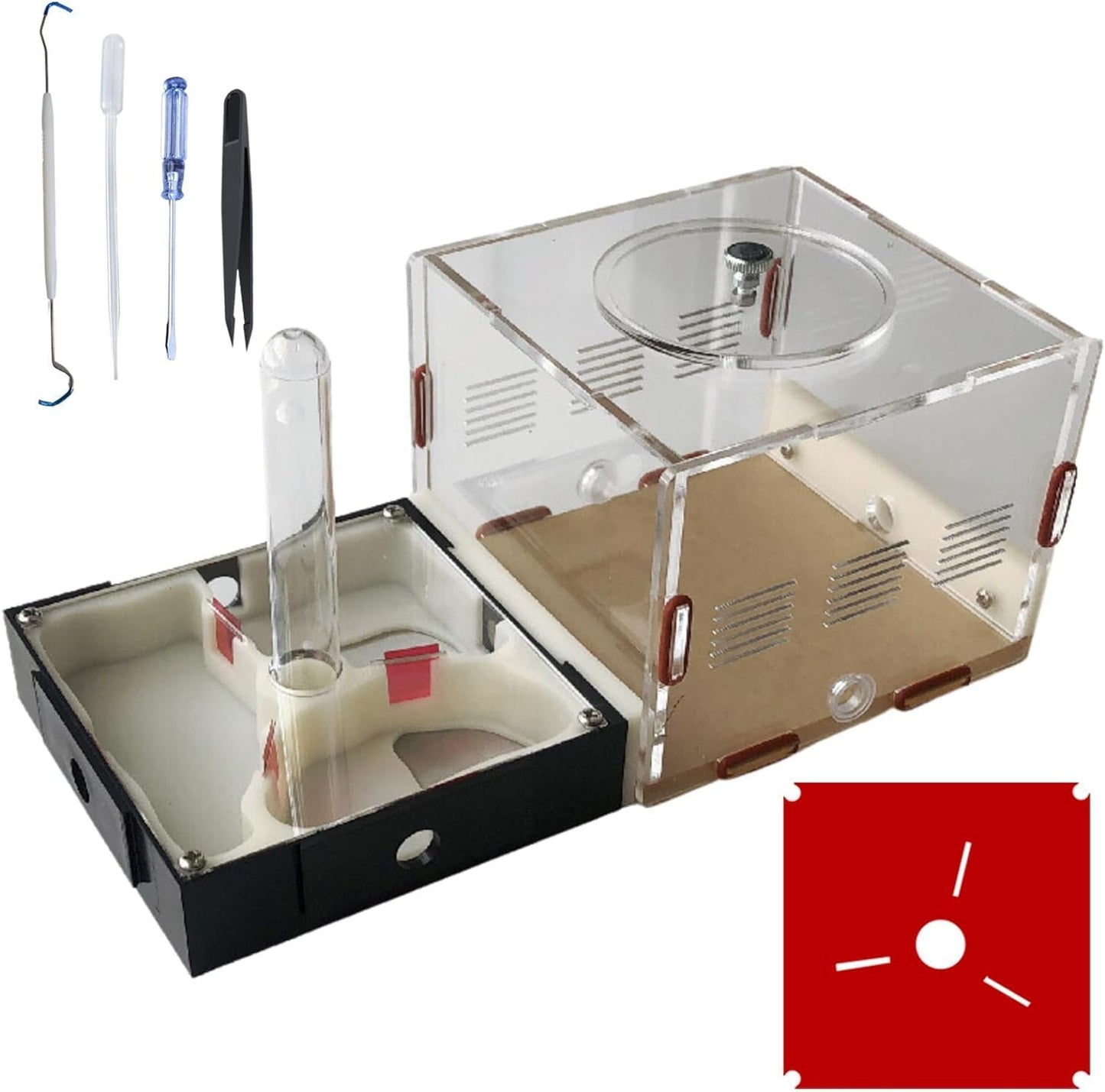 Plaster Test Tube Adult ant Farm Acrylic Transparent ant Observation Behavior Study Live Ants and Queen Education ant nest Small Colony breeding Area Suitable for Children and Enthusiasts Gift