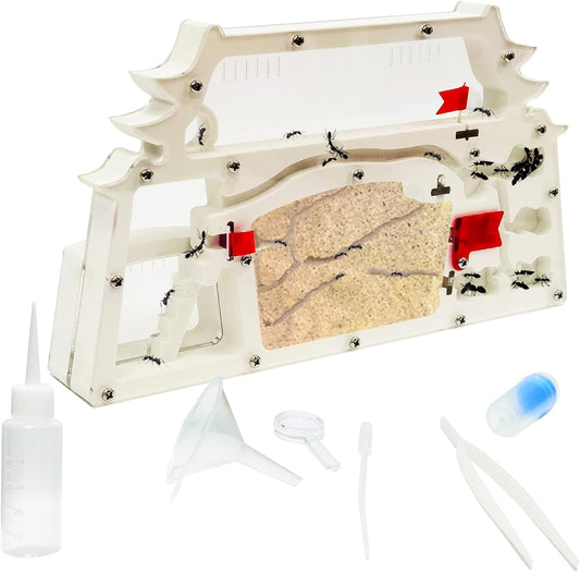 EXBEPE Ant Farm Castle,Ant Colony Habitat Observation Tool Kits,Bug Terrarium House,Nature Learning Toys, Education Science Kit