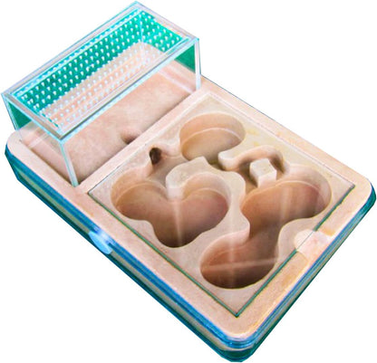 Ant Farm Ant House Adult ant Nursery Farm ant Behavior Research Ant nest Ant cage Education House for Live Ants and Queens Small Group breeding Suitable for Children and Lovers Gifts