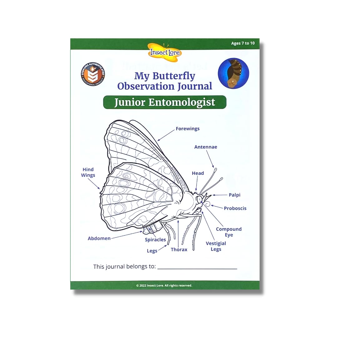 Insect Lore Junior Entomologist Activity Journals | 12 Journal Classpack | Ages 7-10 |Class Set of STEM Learning Booklets
