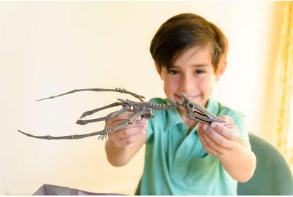 KidzLabs Dig a Pteranodon Skeleton Kit, Fossil Excavation Set, Ages 8+, 1 Piece