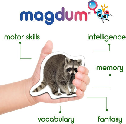 25 Fridge Magnets for Toddlers - Birds Photo Kids Magnets for Refrigerator – Real Magnetic Animals for Children – Big Realistic Magnet for Kids - Learning Toy Set - Baby Educational Gift