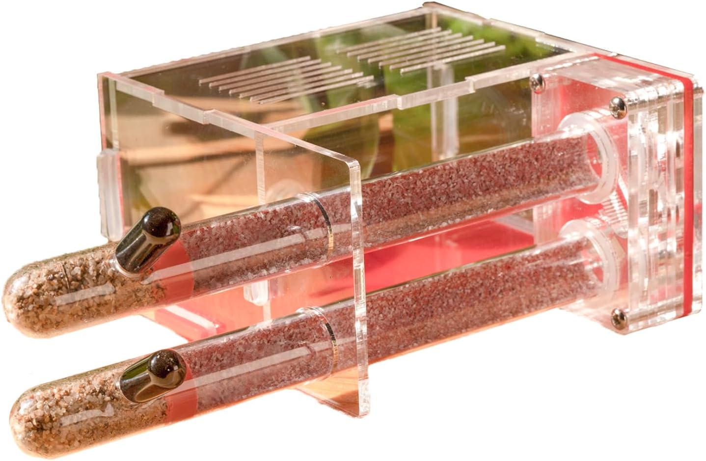 Plaster Test Tube Adult ant Farm Acrylic Transparent ant Observation Behavior Study Live Ants and Queen Education ant nest Small Colony breeding Area Suitable for Children and Enthusiasts Gift