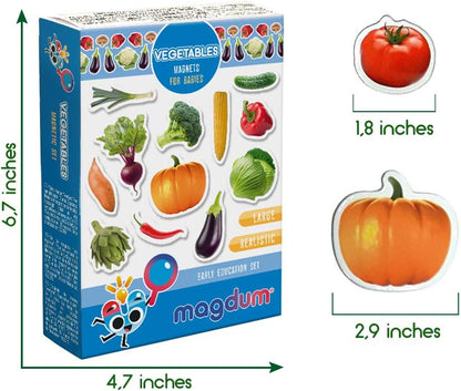 Solar System Fridge Magnets for Kids - Magdum - 22 Realistic Space Magnets for Toddlers - Real Refrigerator Magnets - Planets for Kids – Magnetic Universe - Science Toys for Children - Astronomy Gifts
